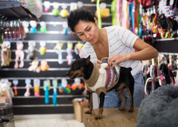 Oportunidades de Negócios em Ascensão: Explore Novos Caminhos para o Sucesso