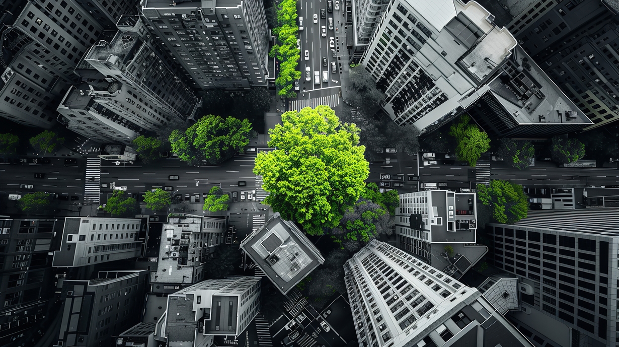 Desenvolvimento Urbano Sustentável: Conceitos, Desafios e Exemplos