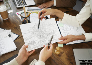 Revitalização do Plano Piloto e Preservação do Patrimônio Histórico: Desafios e Oportunidades